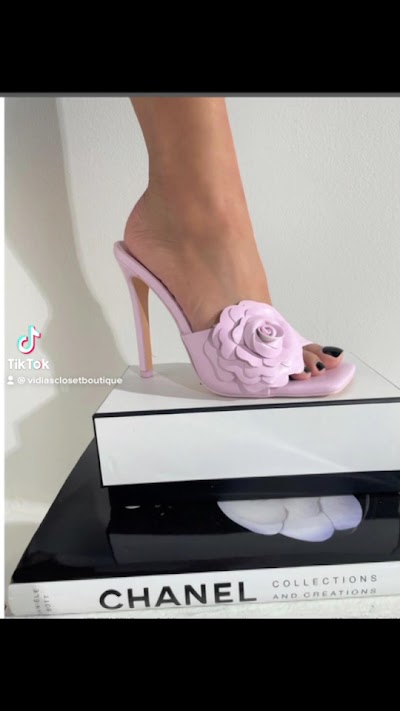 Vidia's Closet
